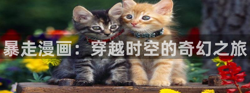 汗汗漫画免费漫画下拉式阅读：暴走漫画：穿越时空的奇幻之旅