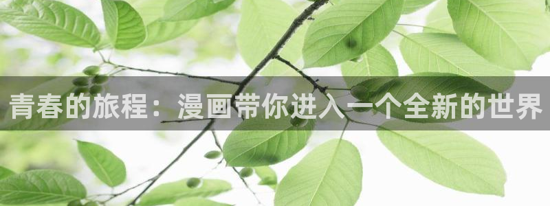 www.汗汗漫画.com：青春的旅程：漫画带你进入一个全新的世界