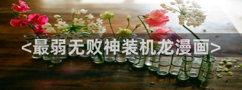 羞羞漫画汗汗漫画入口：<最弱无败神装机龙漫画>