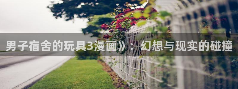 汗汗漫画动漫首页：男子宿舍的玩具3漫画》：幻想与现实的碰撞