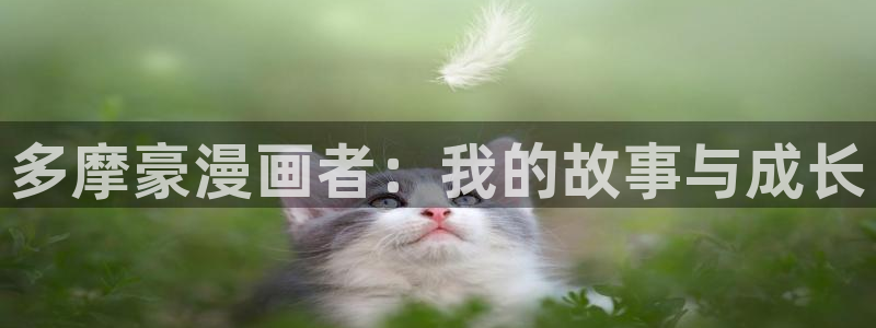 汗汗漫画首页.：多摩豪漫画者：我的故事与成长