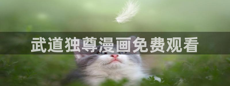 汗汗漫画首页在线观看：武道独尊漫画免费观看