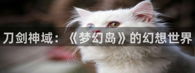 健身教练汗汗漫画入口：刀剑神域：《梦幻岛》的幻想世界